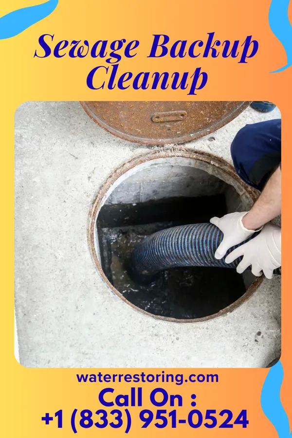 Sewage Backup Cleanup in North Prairie, WI