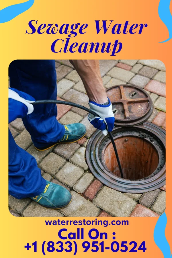 Sewage Water Cleanup in North Prairie, WI
